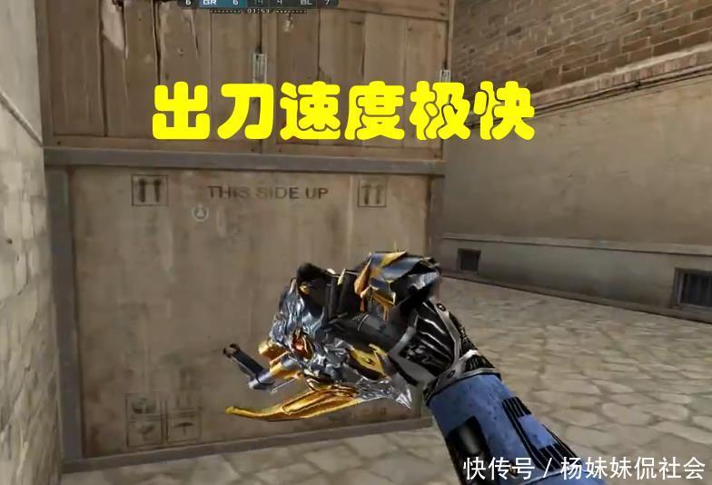当一条做牌
